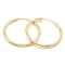 Zlaté náušnice kruhy