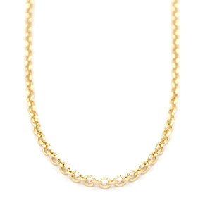 Zlatý řetízek Anker zdobený v lesklém vzhledu 4,05g