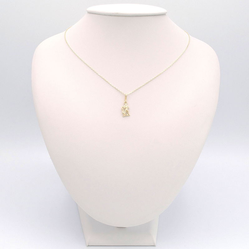 Zlatý přívěsek vodnář 0,49g